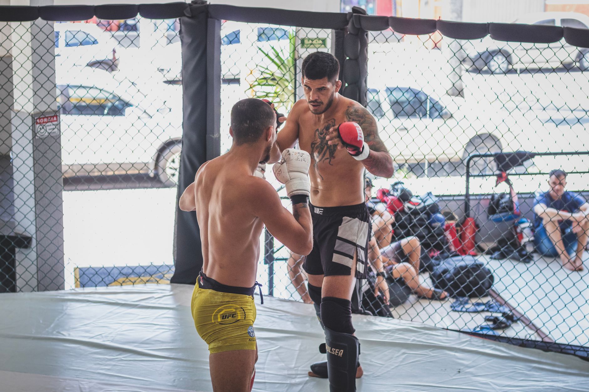 Exploring the rise of UFC in mixed martial arts