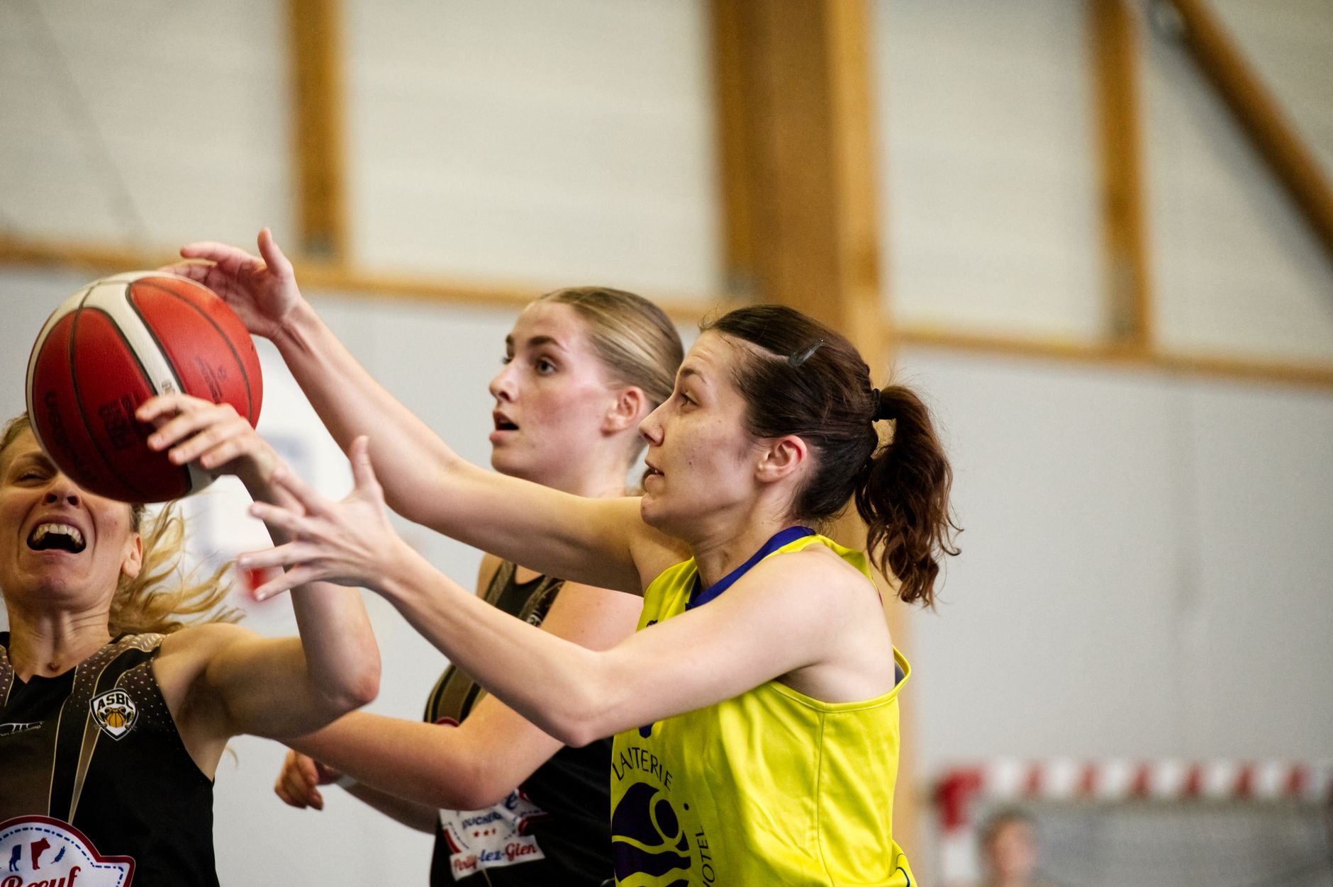 Exploring the rise of women in the WNBA