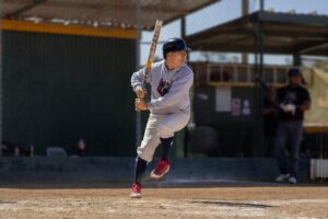 Exploring the top MLB teams of 2025