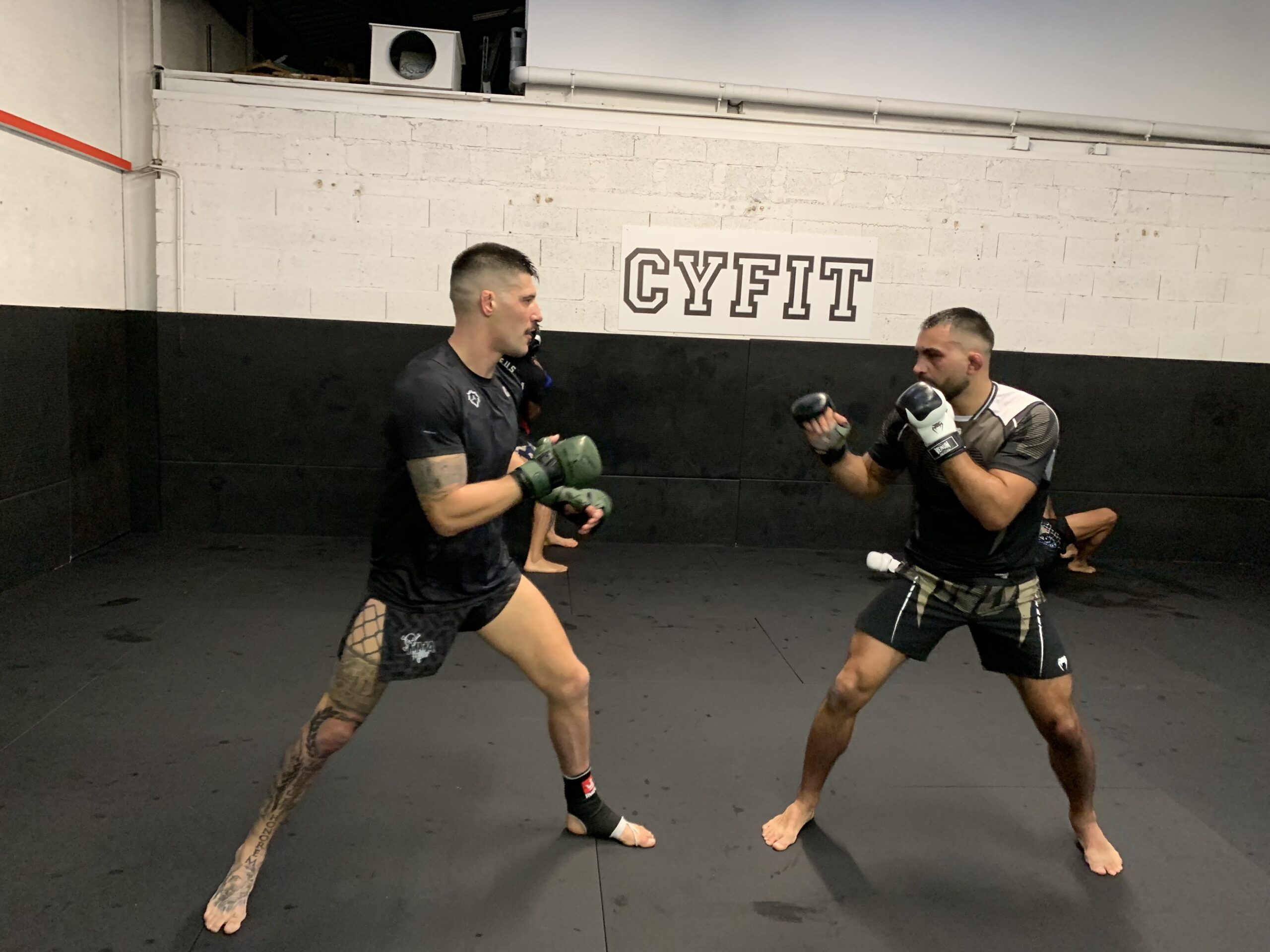 How to prepare for your first UFC fight