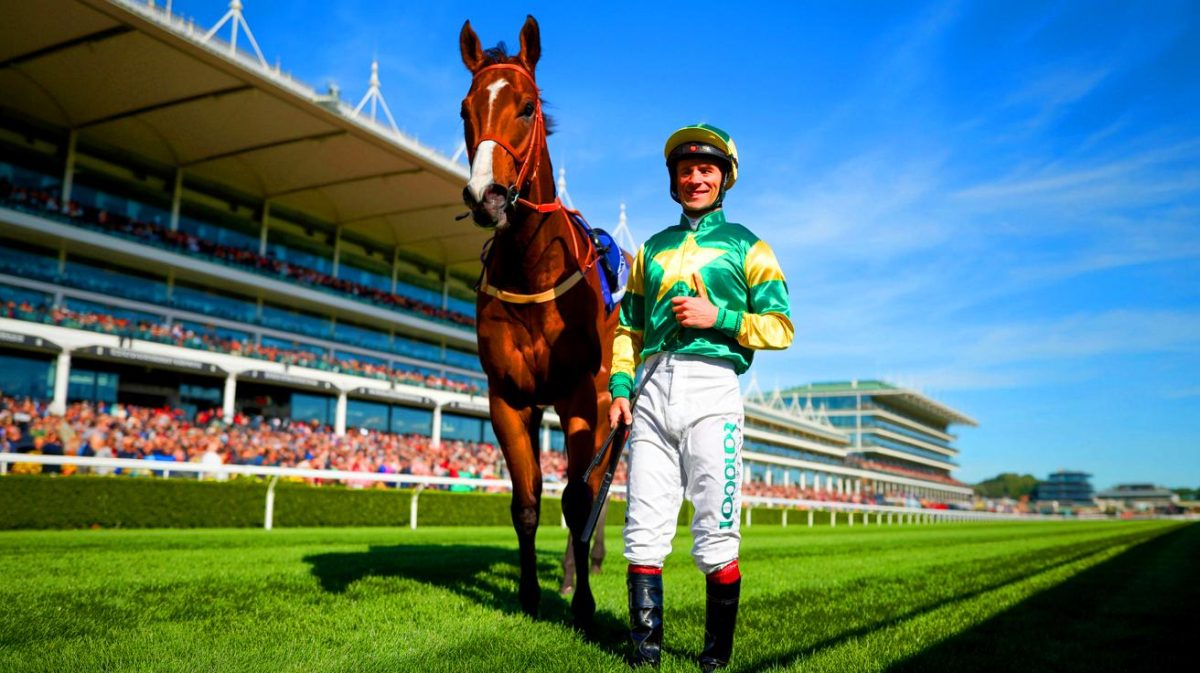 Illustration of jockey Robbie Dolan preparing for the Shergar Cup at Ascot.
