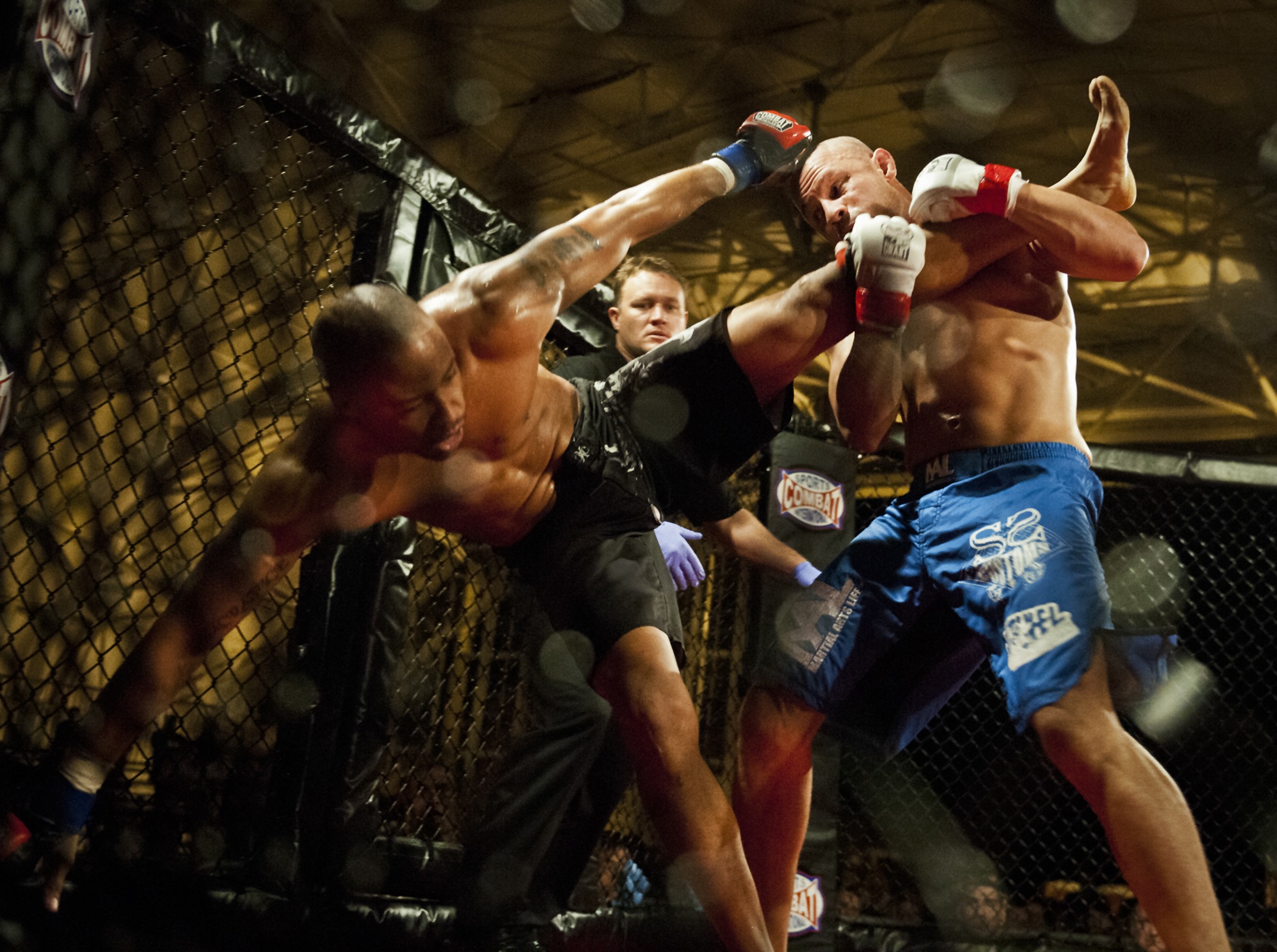 What makes a successful UFC champion?