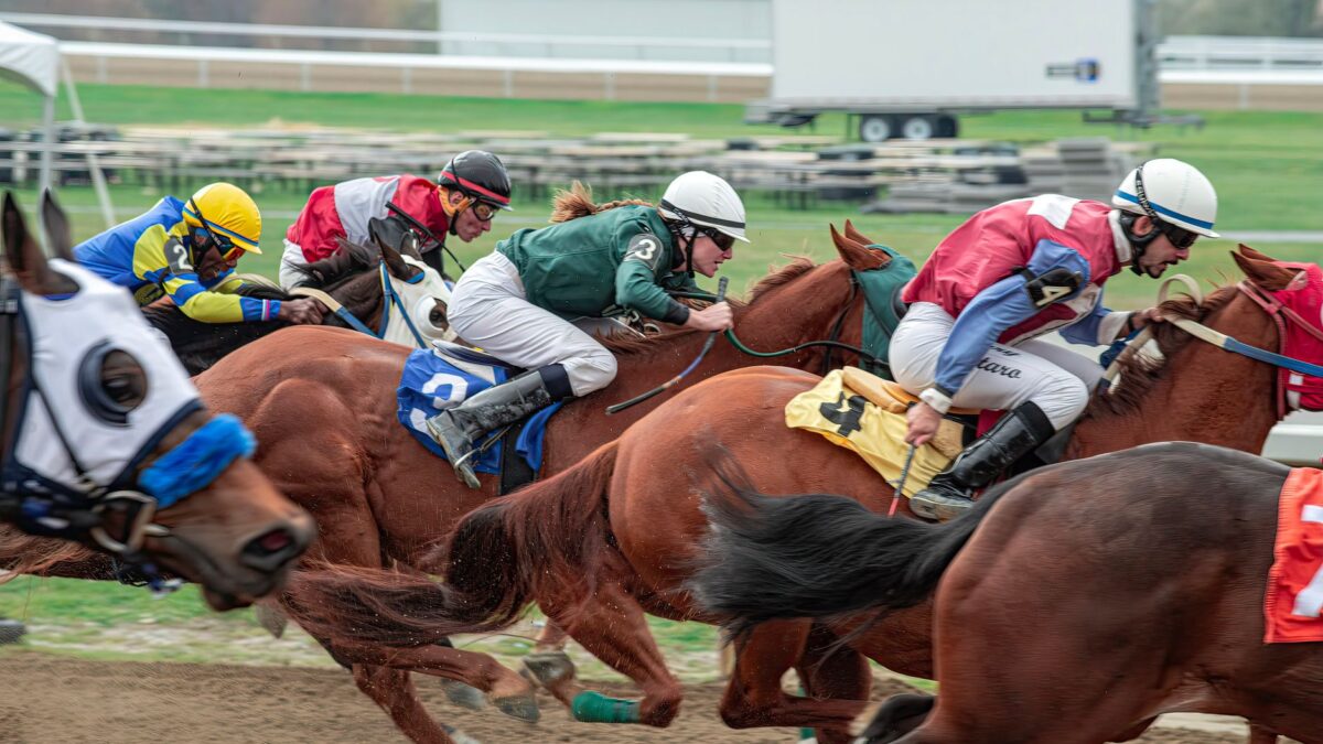 Course de chevaux sur piste en terre : cinq jockeys en casaque jaune/bleu, verte et rouge/blanc montés sur des chevaux bai, dont un porte un œillère blanc, avec pelouse, tribunes et camion blanc en arrière-plan.