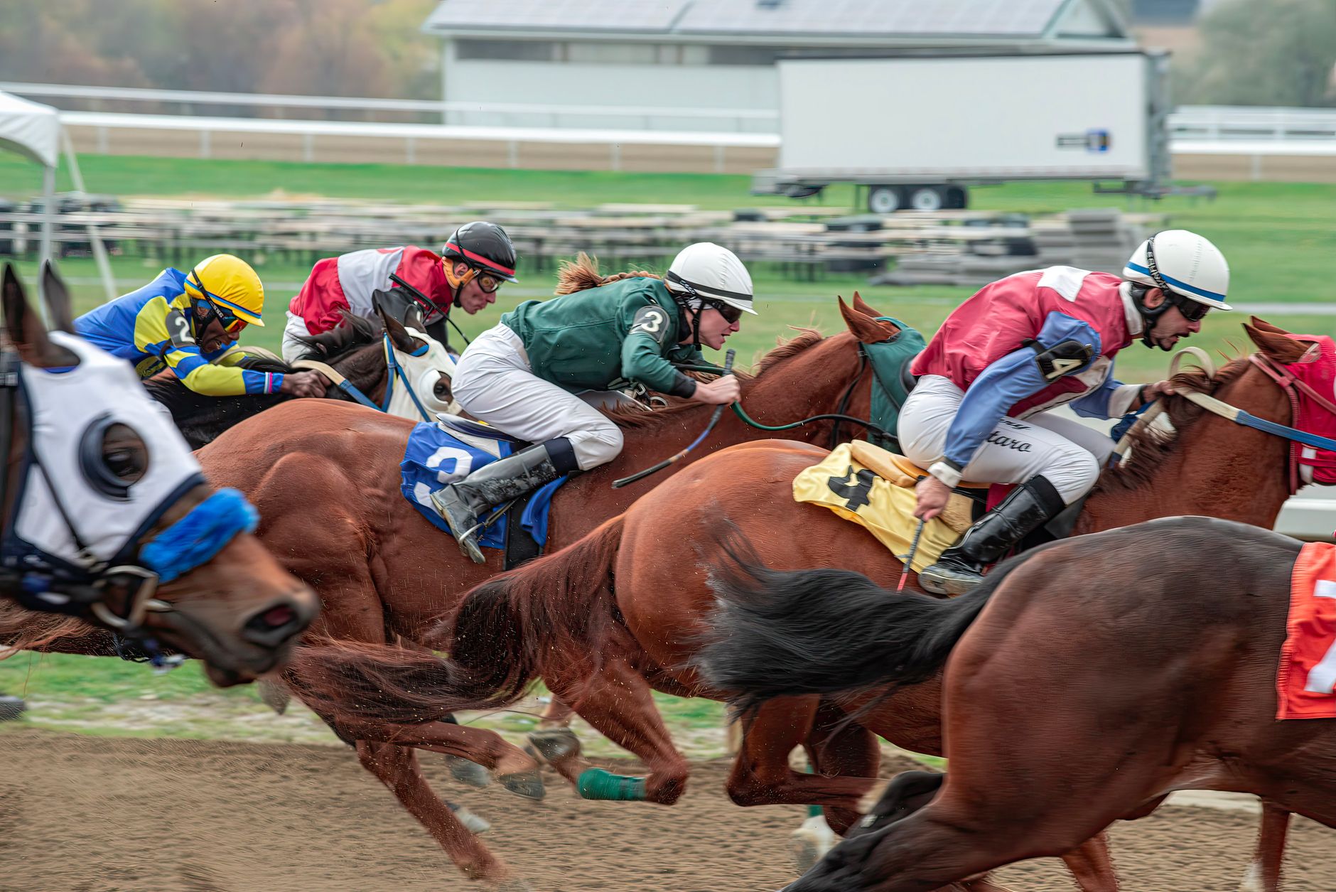 Warning: Starting Today, Fontwell Racing Shatters Records With Unexpected $10,000 Prize, Can You Predict The Winner?