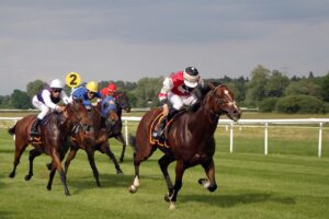 Doncaster, Newbury, and Wolverhampton Transform Saturday Racing: What Today’s Live Coverage Reveals About the Sport