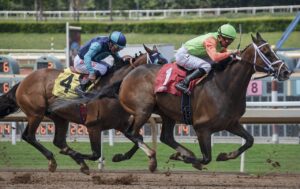Breeders’ Cup Classic Field Revealed: Sierra Leone and Fierceness Lead the Charge in Thrilling Race Showdown